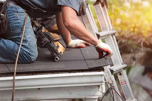 Best Local Roofing Companies  in Dranesville, VA